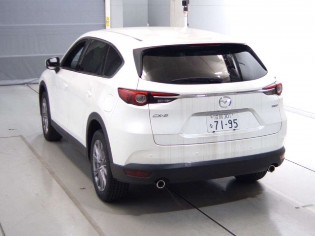 Mazda CX-8 2017 год, объем 2.2 л, 190 л.с.